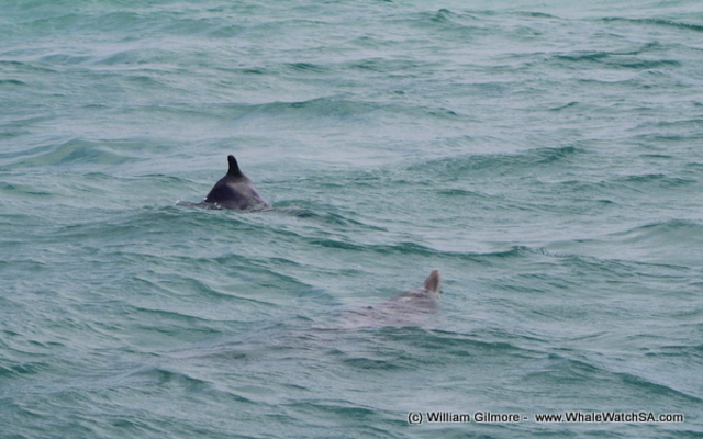 1_IMG_1436_001_1516352417 1_IMG_1436_001_1516352417