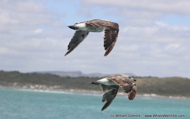 1_IMG_1450_1516352415 1_IMG_1450_1516352415