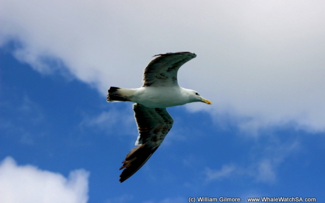 1_IMG_1451_1516352415 1_IMG_1451_1516352415