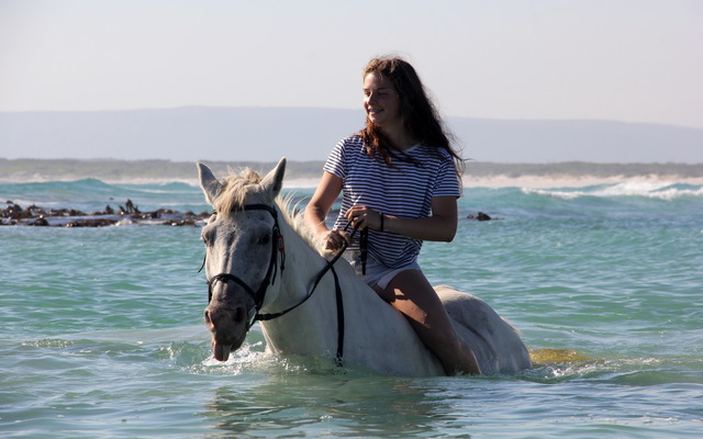 Pearly Beach Horse Trails