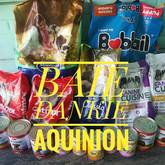 Baie dankie Aquinion