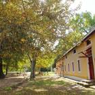 Printing Museum (1815)