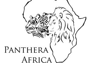 Update: Our New Cheetah Camp