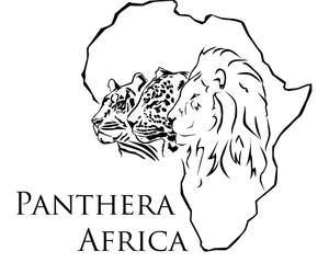 Update: Our New Cheetah Camp