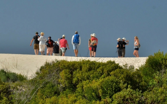 de_hoop_dune_1518443351 de_hoop_dune_1518443351