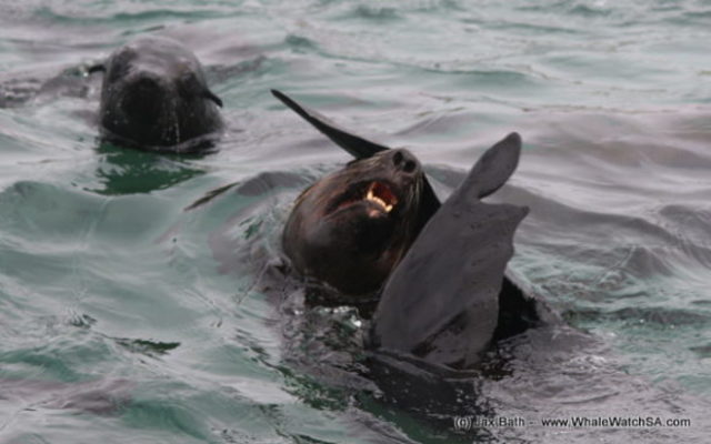 1_1M8A2631_580x363_1518700178 1_1M8A2631_580x363_1518700178