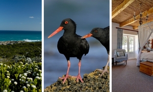 De Hoop Bucket List For 2018