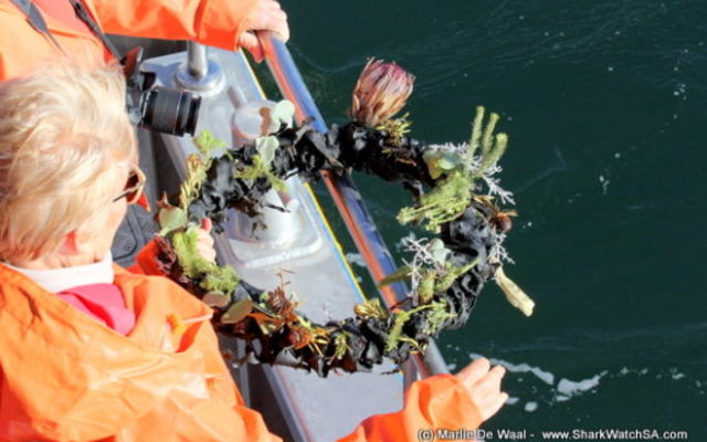 birkenhead_3_580x387_1519642290 birkenhead_3_580x387_1519642290