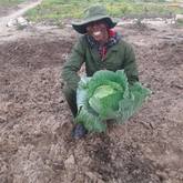 Our vibrant Masakhane Community Farm