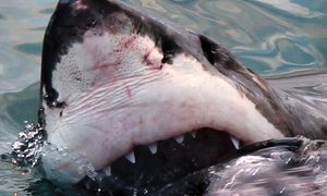 Blog Update: 4 March 