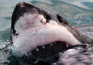 Blog Update: 4 March 