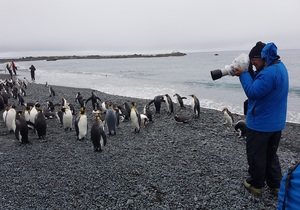 SUB-ANTARCTIC ISLANDS OF NEW ZEALAND