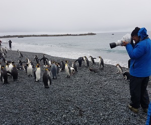 SUB-ANTARCTIC ISLANDS OF NEW ZEALAND