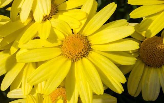 534366955_XS_1520857543