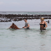 #gansbaaipearlybeachhorsetrails