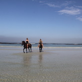 #gansbaaipearlybeachhorsetrails