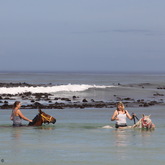 #gansbaaipearlybeachhorsetrails