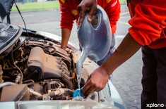 Gansbaai_Shell_checking_water_1521542659