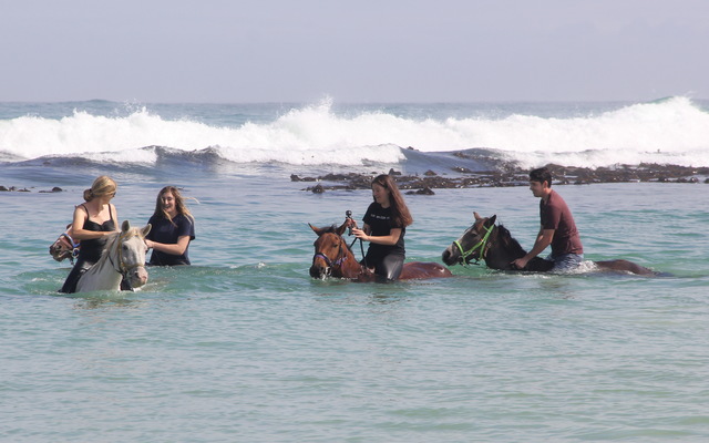 Gansbaai &Pearly Beach Horse Trails