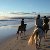 Gansbaai & Pearly Beach Trails
