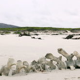 Gansbaai & Pearly Beach Trails