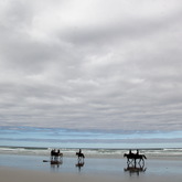 Gansbaai & Pearly Beach Trails