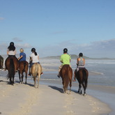 Gansbaai & Pearly Beach Trails