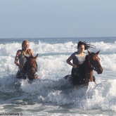 Gansbaai & Pearly Beach Trails