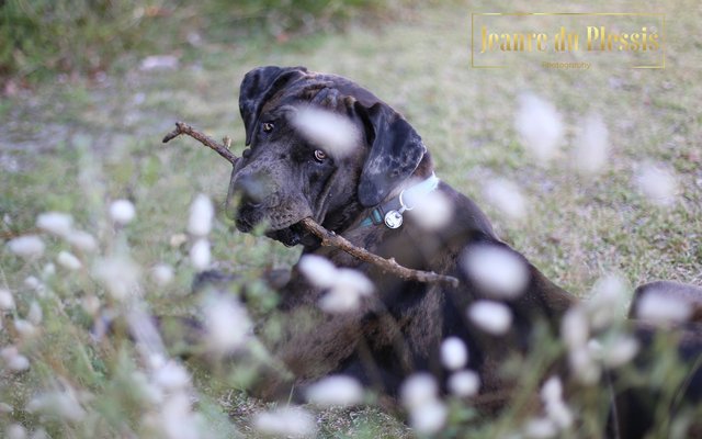 30073320_354040331749961_8239766814943024795_o_1522930215