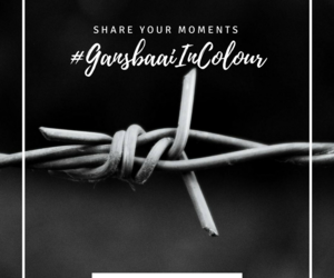 #GansbaaiInColour - April (Mysterious Monochrome)