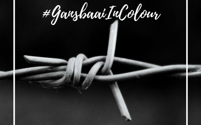 April_GansbaaiInColour_Monochrome_1522930611 April_GansbaaiInColour_Monochrome_1522930611