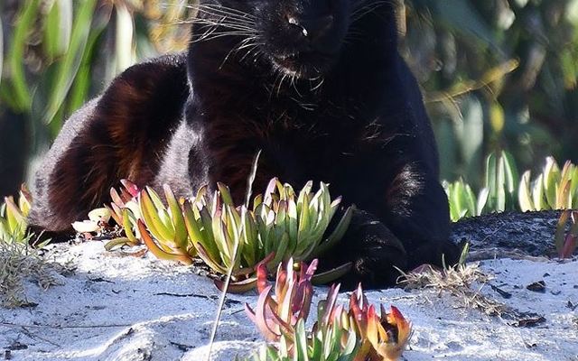 26992389_1662485347169717_7308834633682151744_n_1522998772