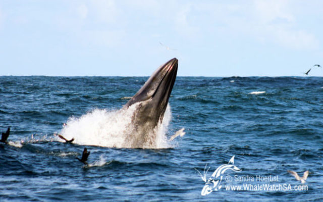 20160922_DC_Trip1_SHoerbst_IMG_077_580x387_1523447428 20160922_DC_Trip1_SHoerbst_IMG_077_580x387_1523447428