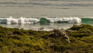 Jewel of the Overberg