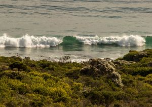 Jewel of the Overberg