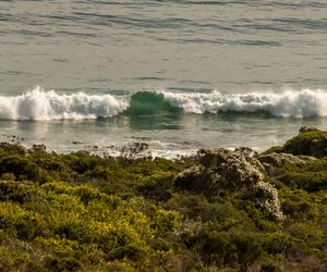 Jewel of the Overberg