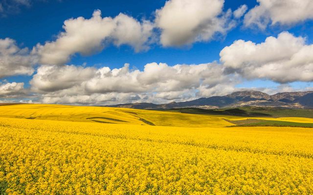 Romansbaai_Web_Advert_25__1523603147