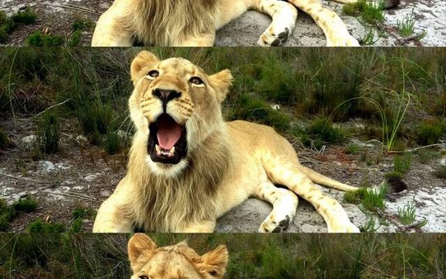 31230579_1753891078029143_5361582966097051648_n_1524557164