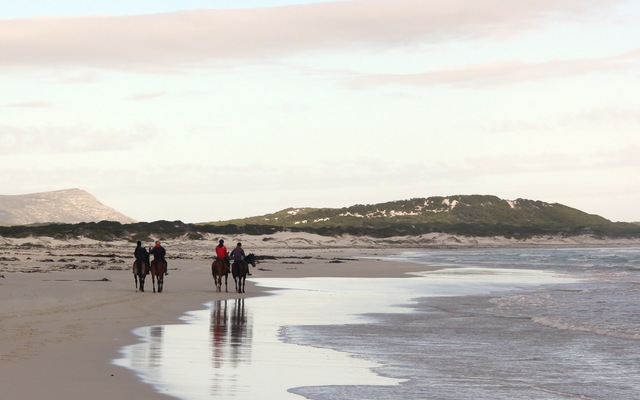 Gansbaai & Pearly Beach Horse Trails