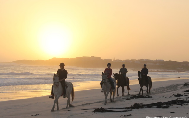 Gansbaai & Pearly Beach Horse Trails