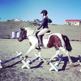 Our newest Rider on our Pony Gypsy