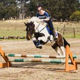Newest Rider and Gypsy Pony