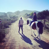Pony rides for kids with a view