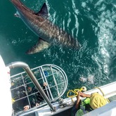 Join us for the ultimate experience!