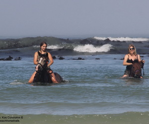 The ULTIMATE bucket list tick!