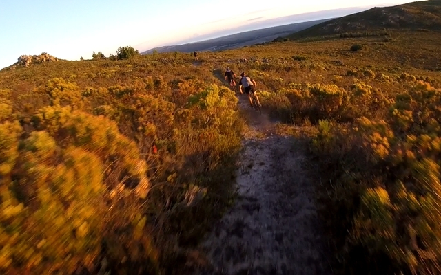 new_04_1526654308 new_04_1526654308