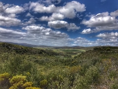 Fynbos 4x4