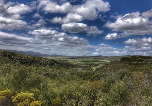 Fynbos 4x4
