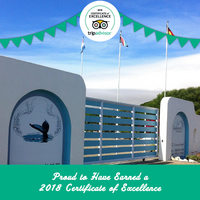 TripAdvisor Certificate