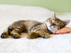 Energy Efficient Heating